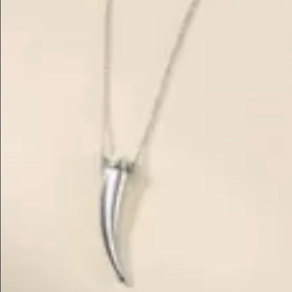 Stella & Dot Delicate horn necklace -Silver